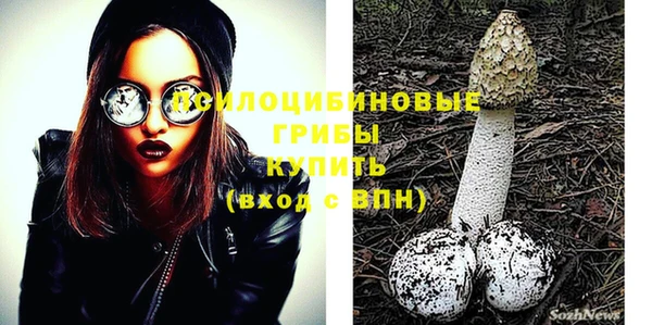 прущая мука Кинешма