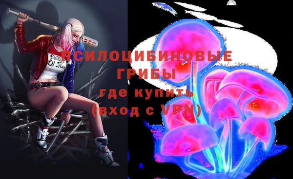 прущая мука Кинешма