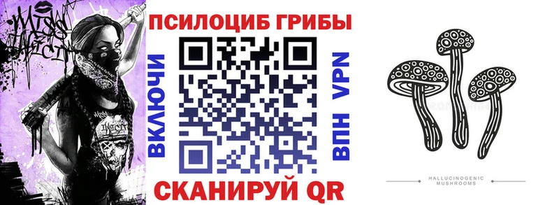 закладка  Афипский  Галлюциногенные грибы ЛСД 